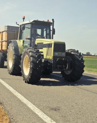 pexels-andrea-piacquadio-771146